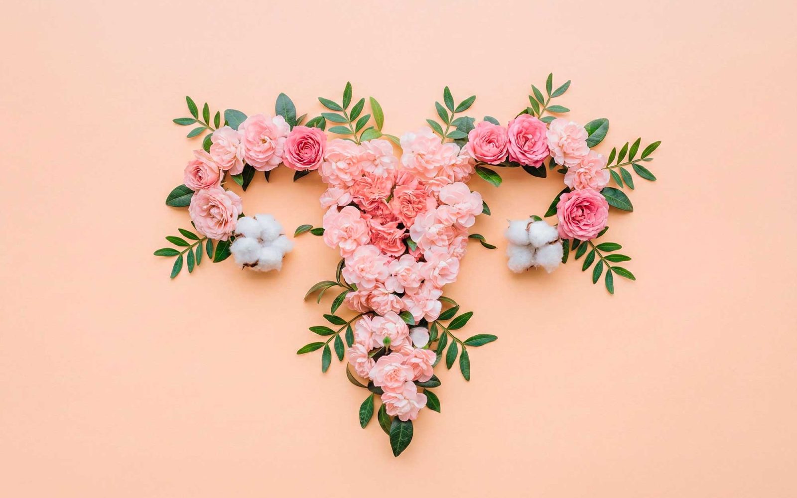 ginecologia-regenerativa